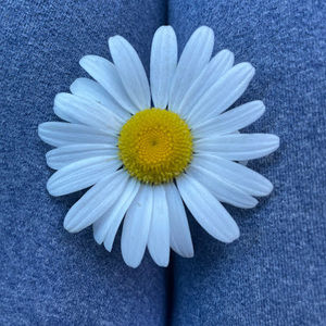 Meet your Posher, Laqunna